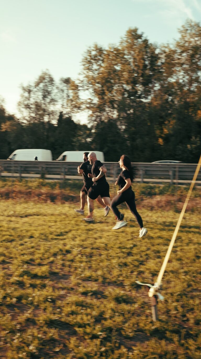 tpb ocr arena